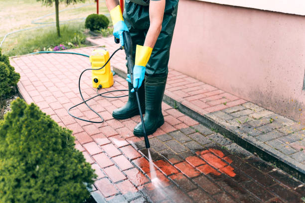 Best Driveway Pressure Washing  in East Rutherford, NJ